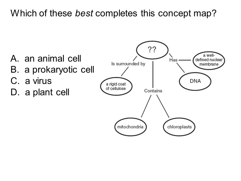 Which Of These Best Completes This Concept Map Campus Map: Which Of These Best Completes This Concept Map
