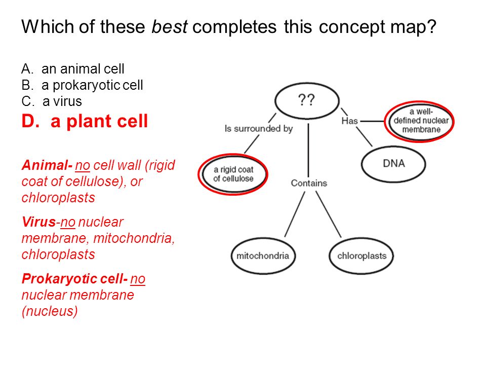 Which Of These Best Completes This Concept Map Campus Map: Which Of These Best Completes This Concept Map