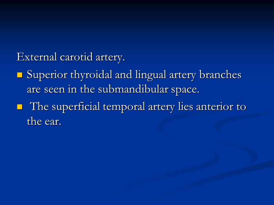 External carotid artery.