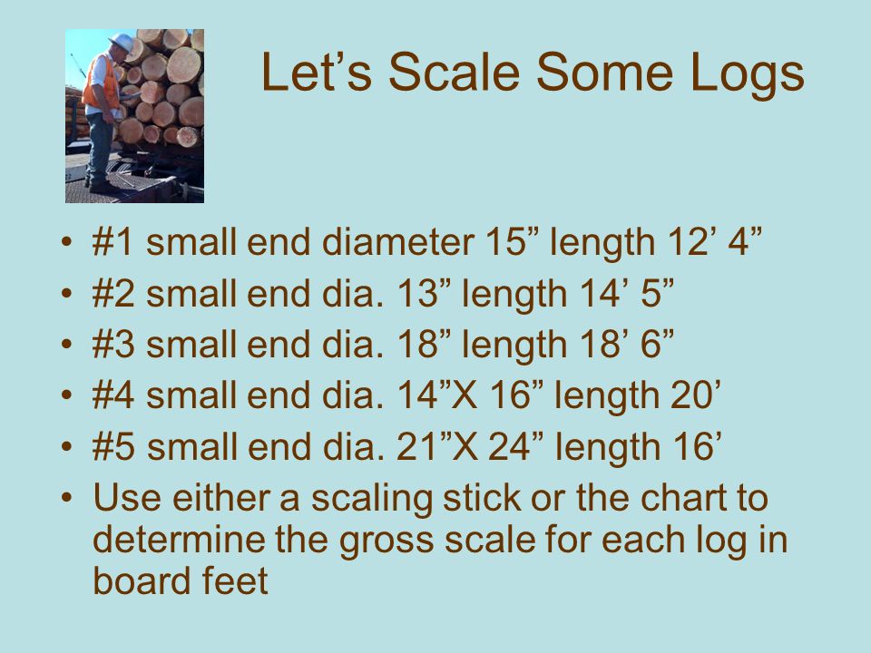 Log Board Feet Chart