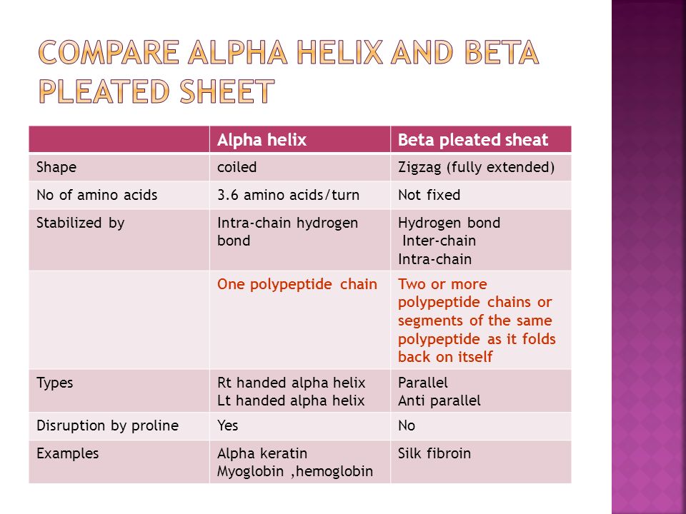 alpha helix and beta sheet ppt