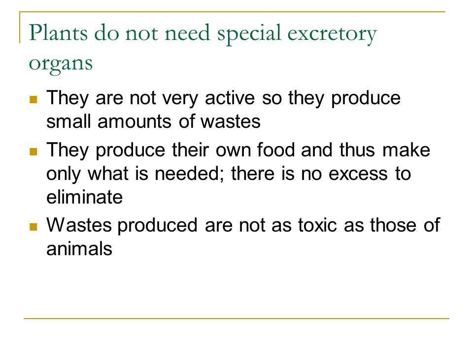 Excretion Page ppt video online download