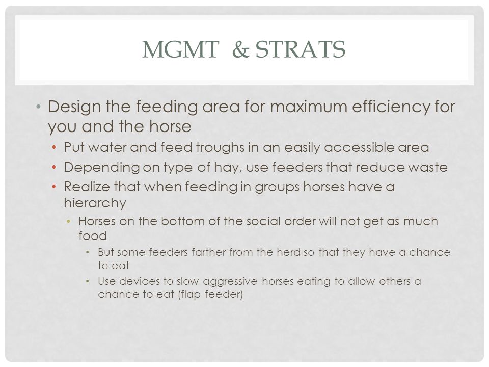 Equine Nutrition Management Ppt Video Online Download