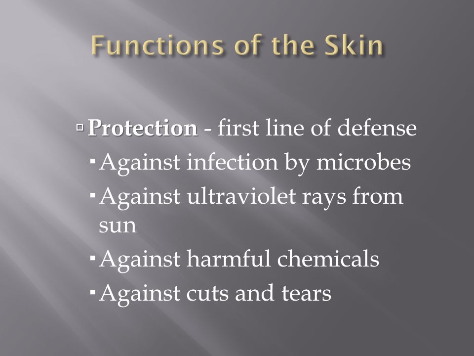 Functions of the Skin Protection - first line of defense