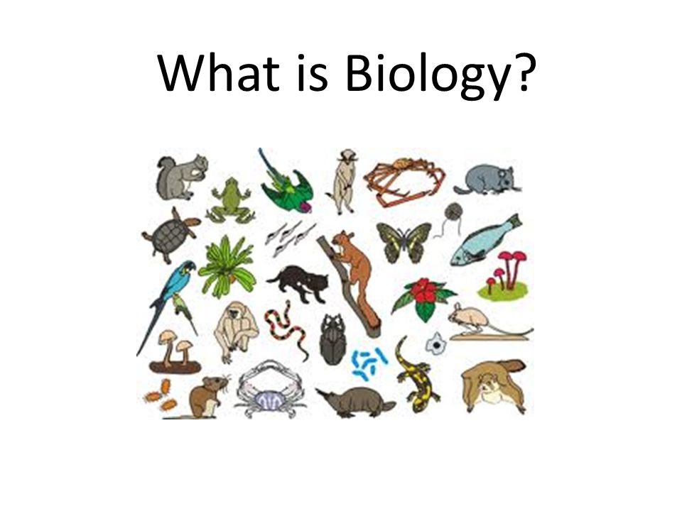 What is Biology.