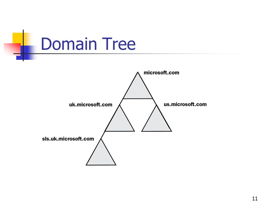Domain Tree