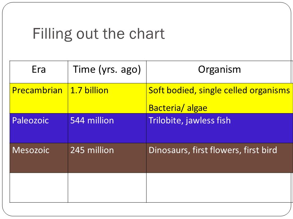 Mesozoic Era Chart