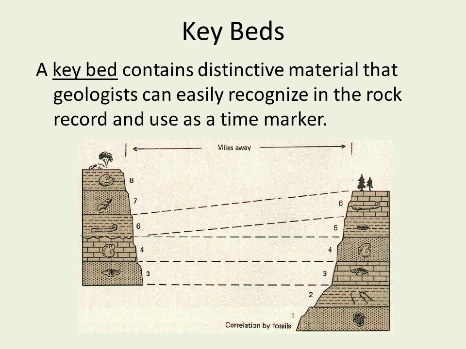 Key Beds A key bed contains distinctive material that geologists can easily...