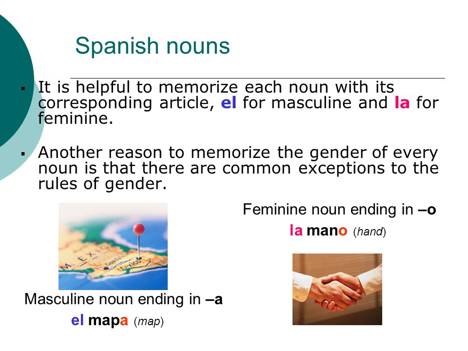 Spanish nouns It is helpful to memorize each noun with its corresponding article, el for masculine and la for feminine.