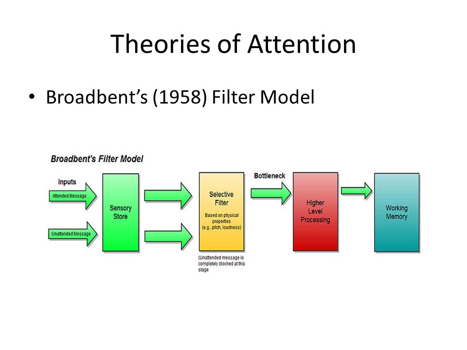 MRCPsych: Perception, Memory and Attention - ppt download