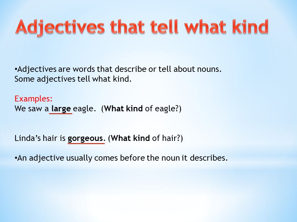 Adjectives that tell… Which one How many How much. - ppt download