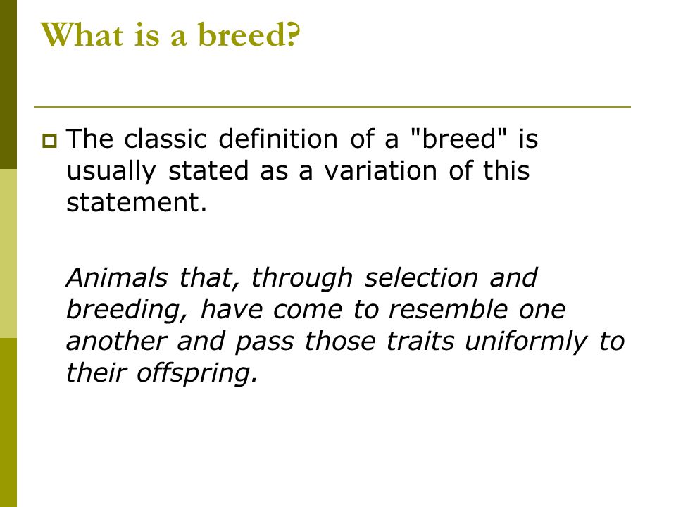 What is a breed The classic definition of a breed is usually stated as a variation of this statement.