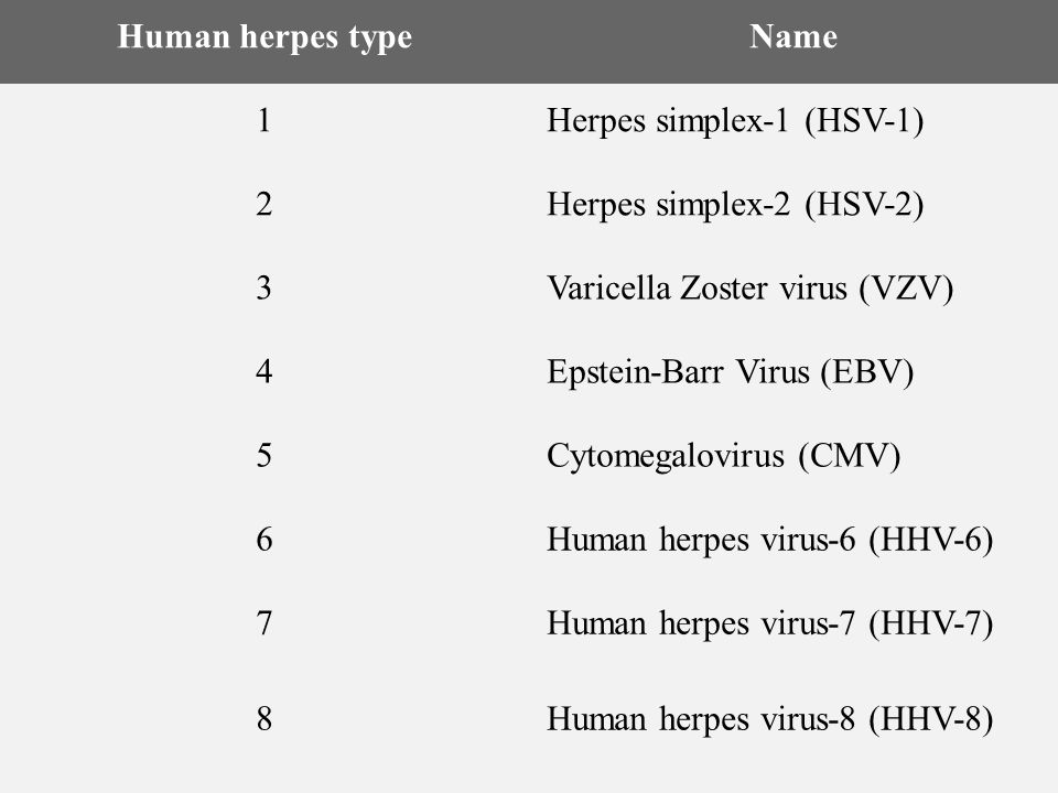 Resultado de imagen para virus herpes 1 2 3 4 5 6 7 8