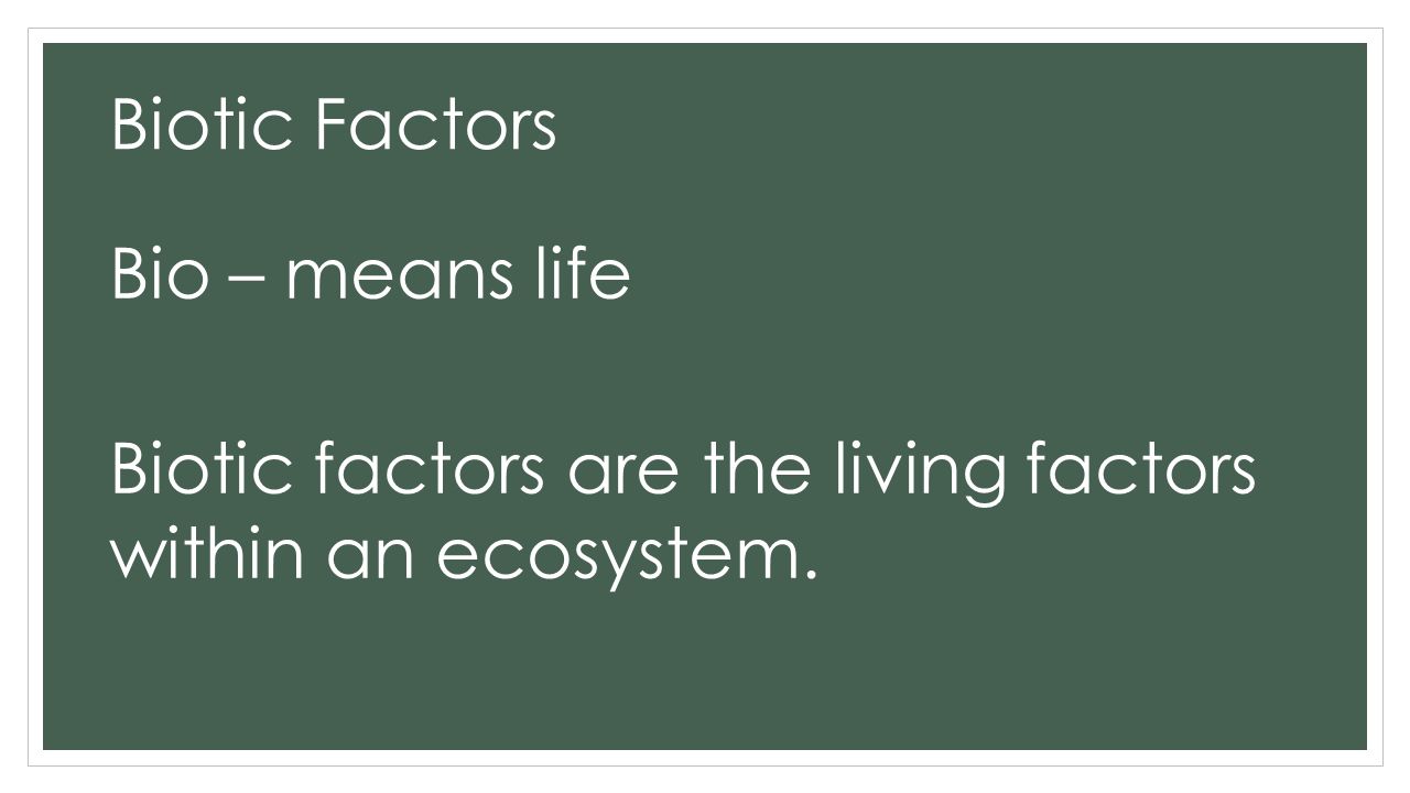 factors within an ecosystem ppt download