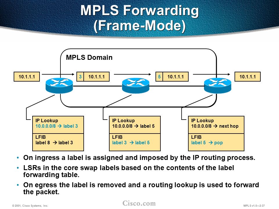 MPLS Forwarding (Frame-Mode) .