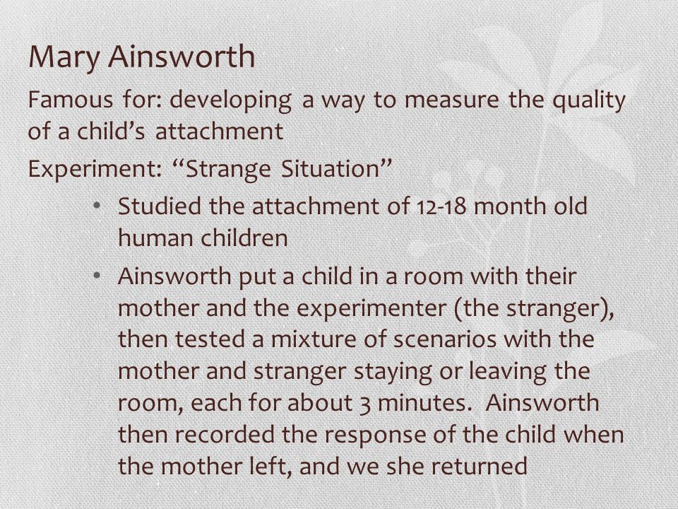 what did mary ainsworth study