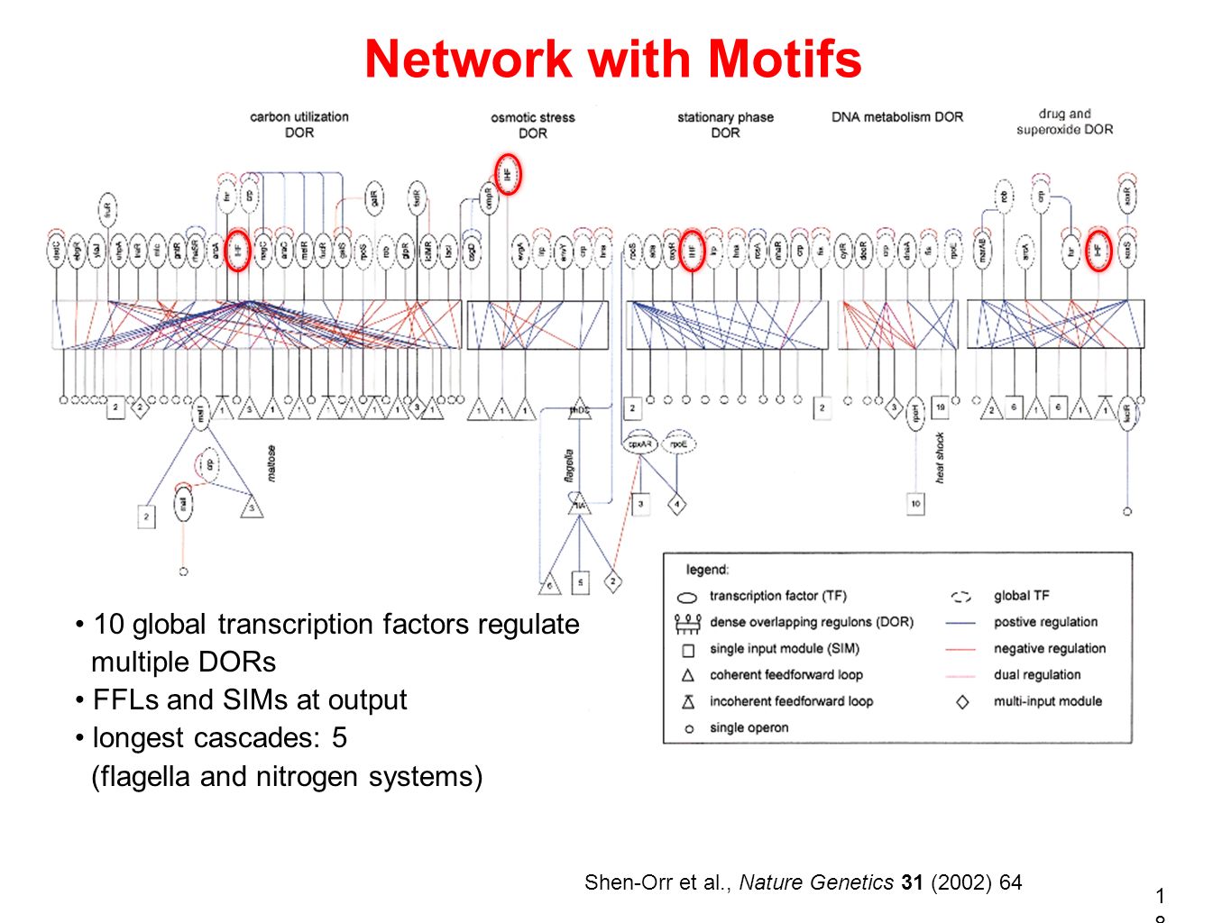 Network with Motifs • 10 global transcription factors regulate