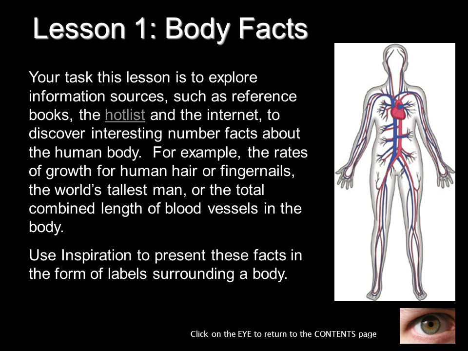 The Maths of the Human Body - ppt video online download
