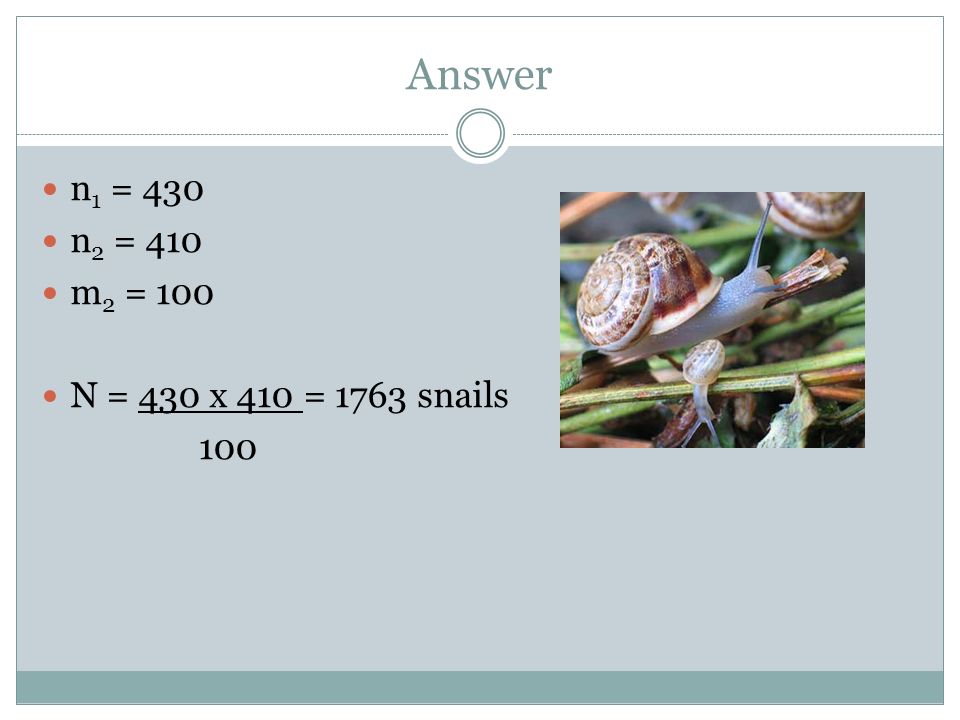 Answer n1 = 430 n2 = 410 m2 = 100 N = 430 x 410 = 1763 snails 100