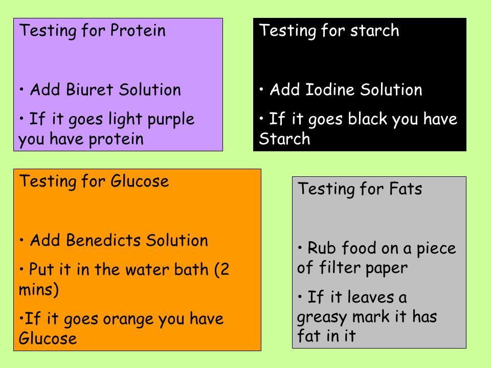 Food Tests L O To Know How To Test For Starch Sugars Proteins And Fats Ppt Video Online Download