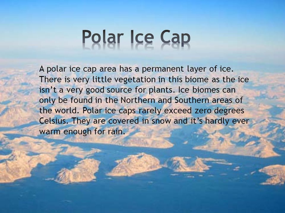 Polar Ice Cap and Tundra By Jasmine Brierley - ppt video online download