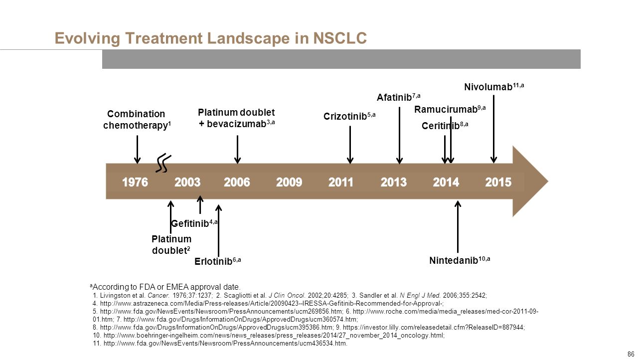 Nsclc treatment landscape