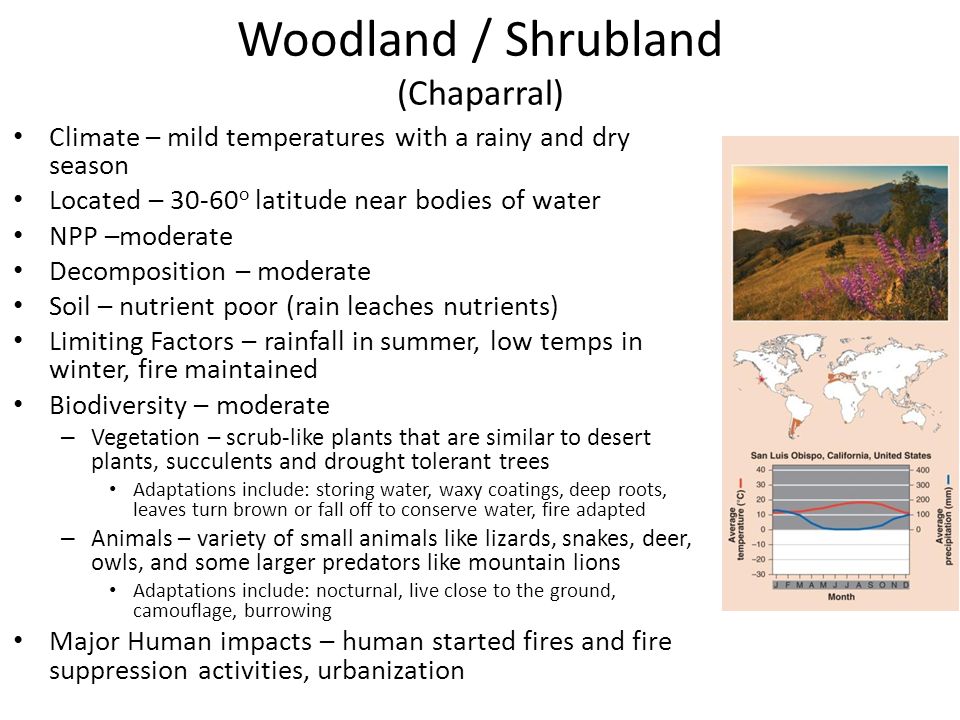Special Topics Lecture - ppt video online download