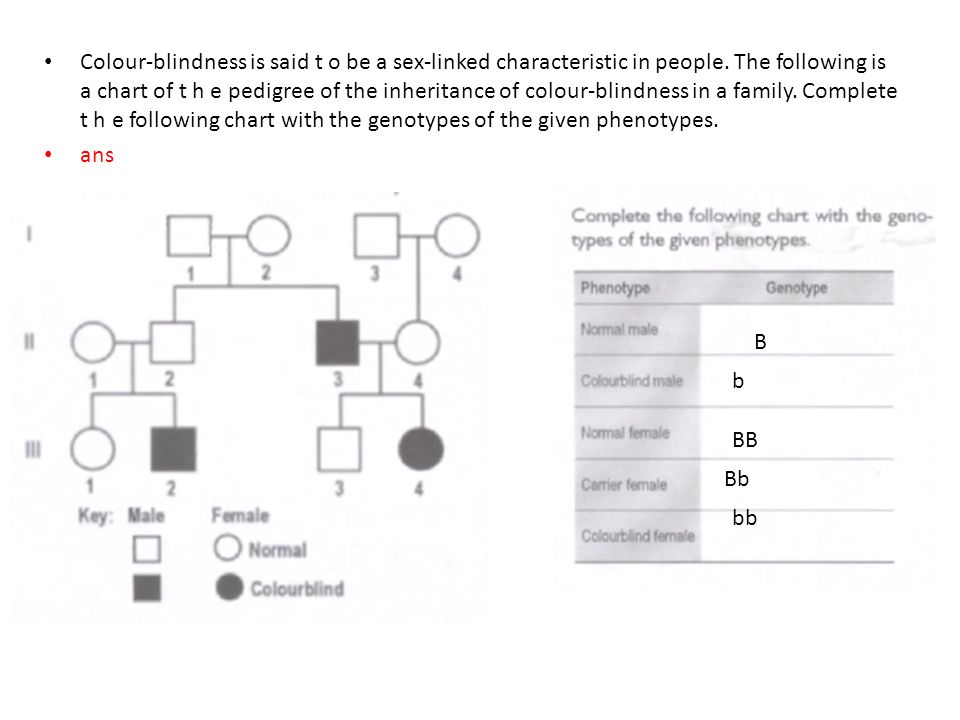 Genetics The Basics Ppt Download