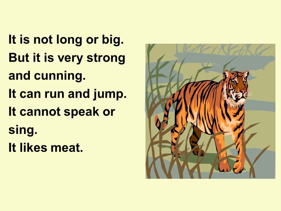 But it is not that. Тигр по английски. It can Run. It can Run перевод на русский. Проект 5 кл my favourite animal.
