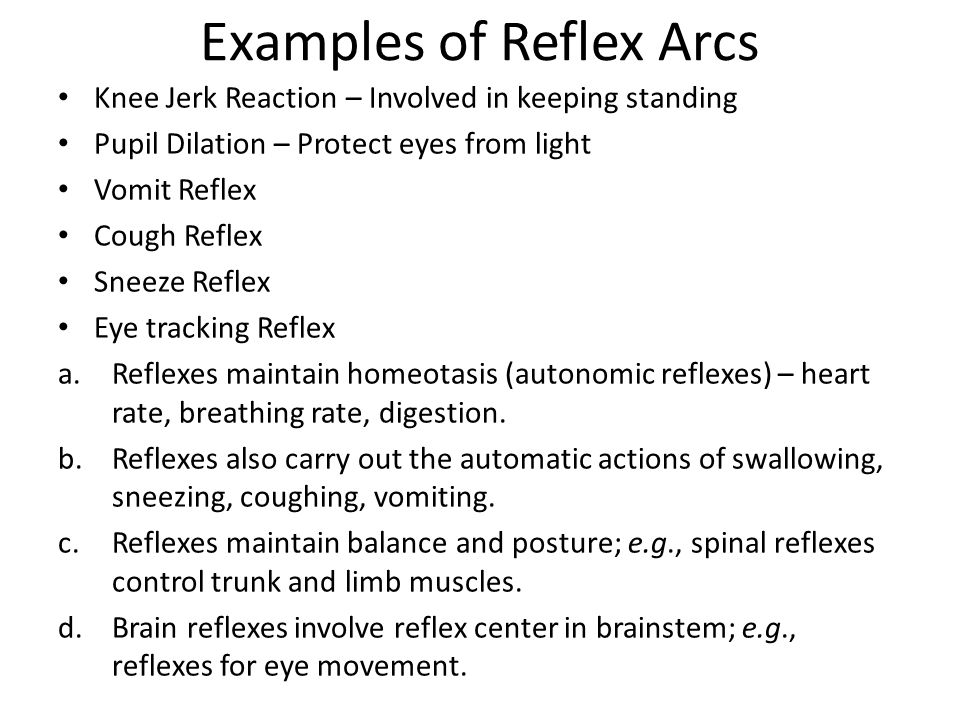 Reflex Physiology Lab 7 Dr Twana A Mustafa Ppt Video Online Download