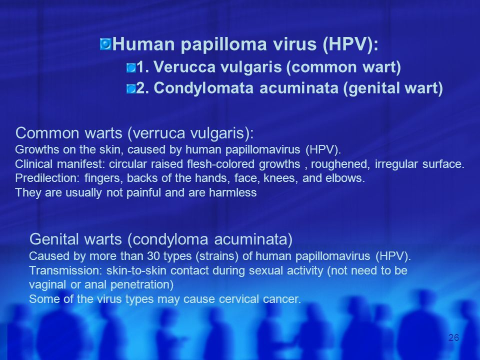etiologi human papillomavirus
