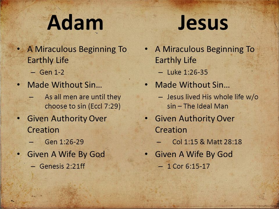 Jesus the second adam ppt download