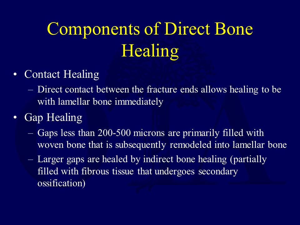 Biology of Bone Repair Scott J. Broderick, MD - ppt video online download