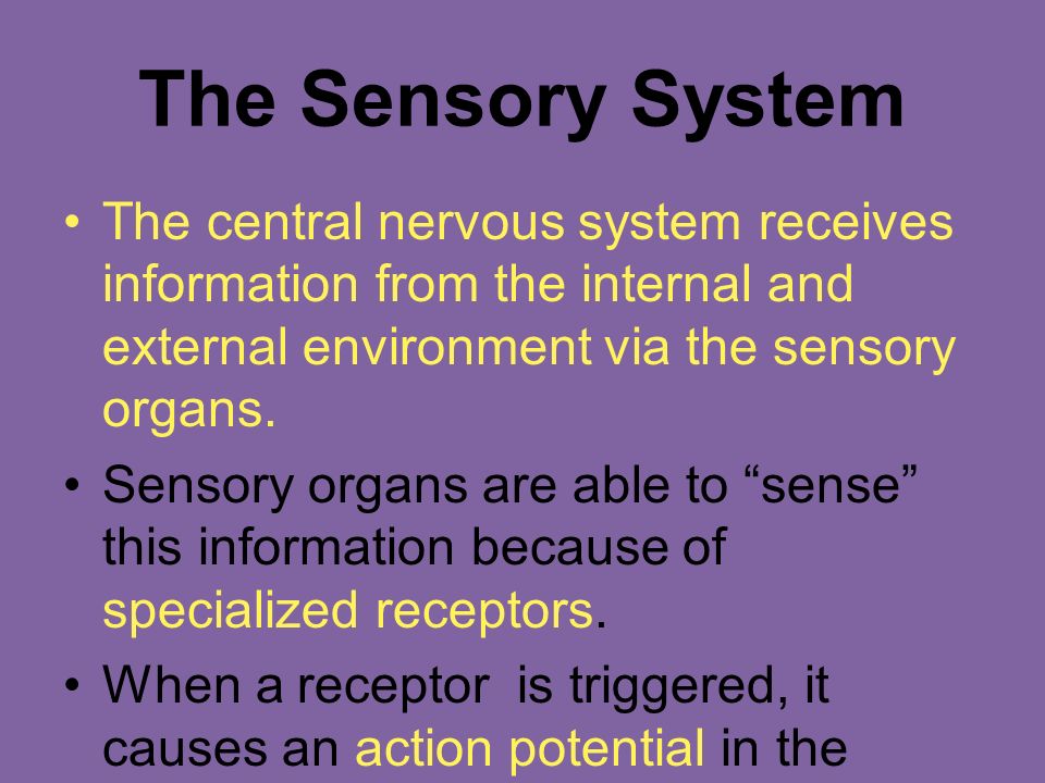 Тест нервная система органы чувств. Sensory Tests картинки. Sensory Issues. Sensory Analysis problems. Sensory Mapping method.
