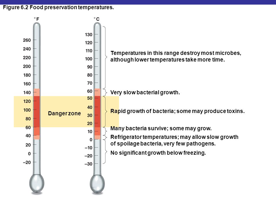 Below freezing temperature. РН микробиология. Температура микробиология. Temp. Preservation. Take temperature.