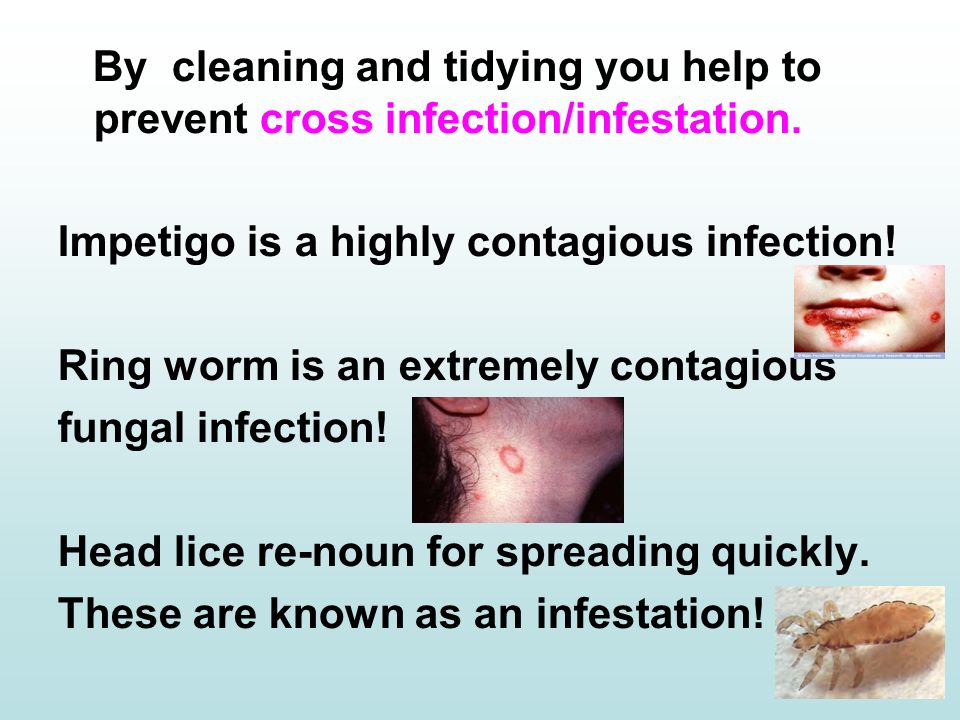 Maintain Health & Safety In The Salon - Ppt Video Online Download