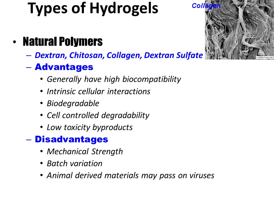Types of Hydrogels Natural Polymers