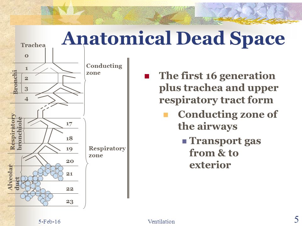 Dead-air space Meaning 