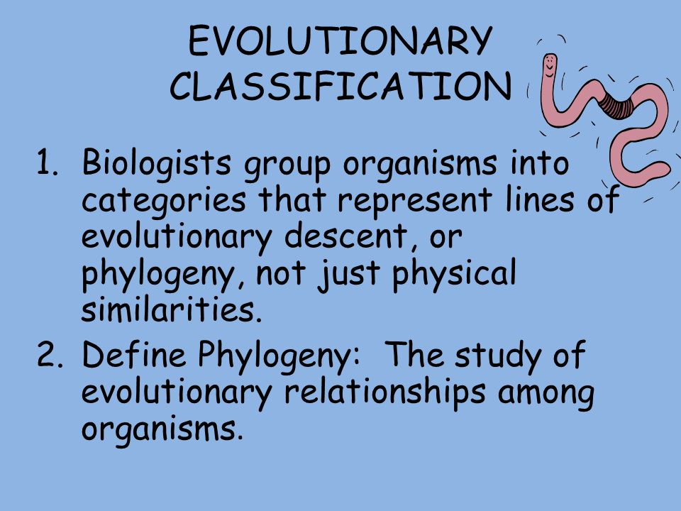define evolutionary relationships