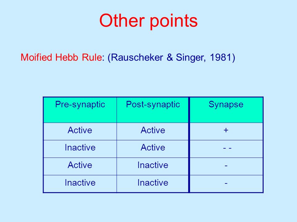 Other points Moified Hebb Rule: (Rauscheker & Singer, 1981)
