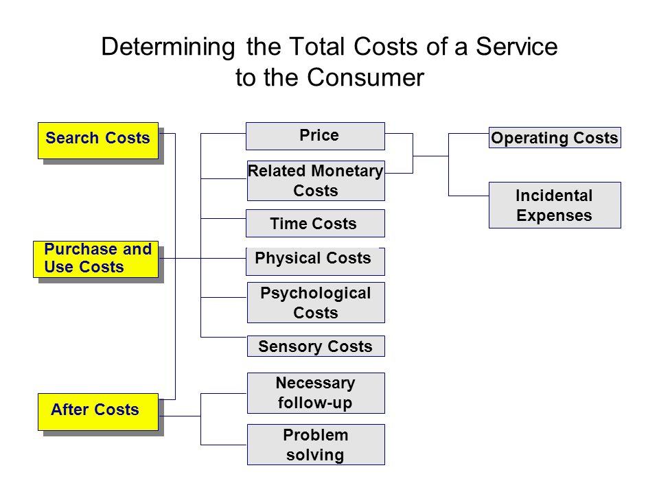 Determining the Total Costs of a Service to the Consumer