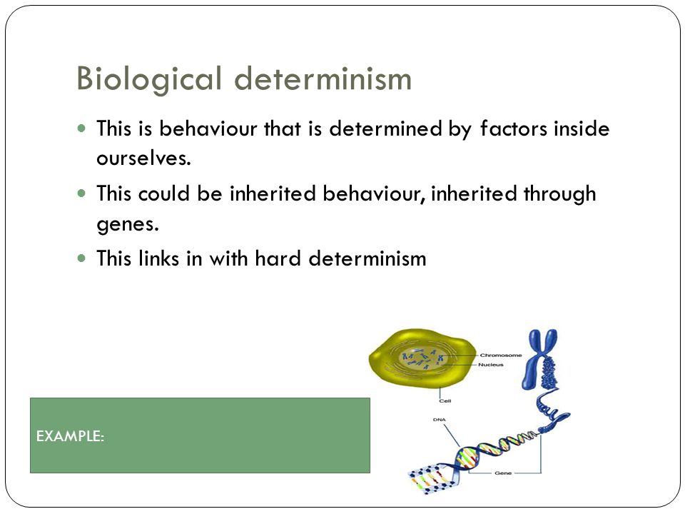 Biological determinism