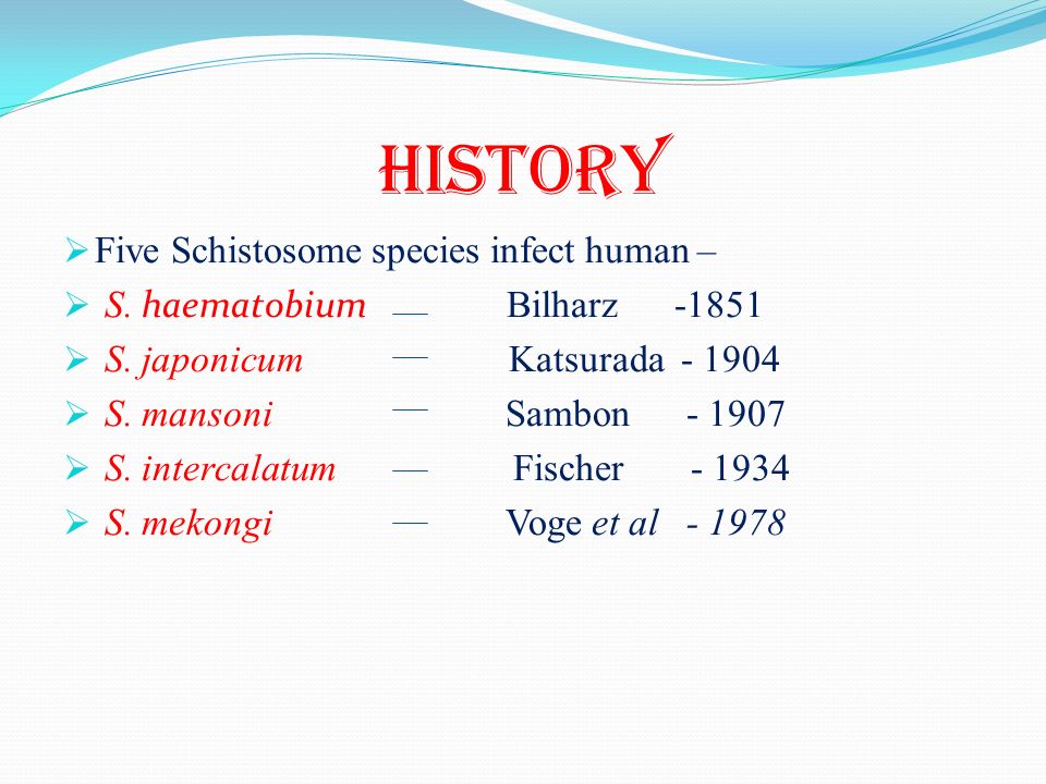 schistosomiasis history