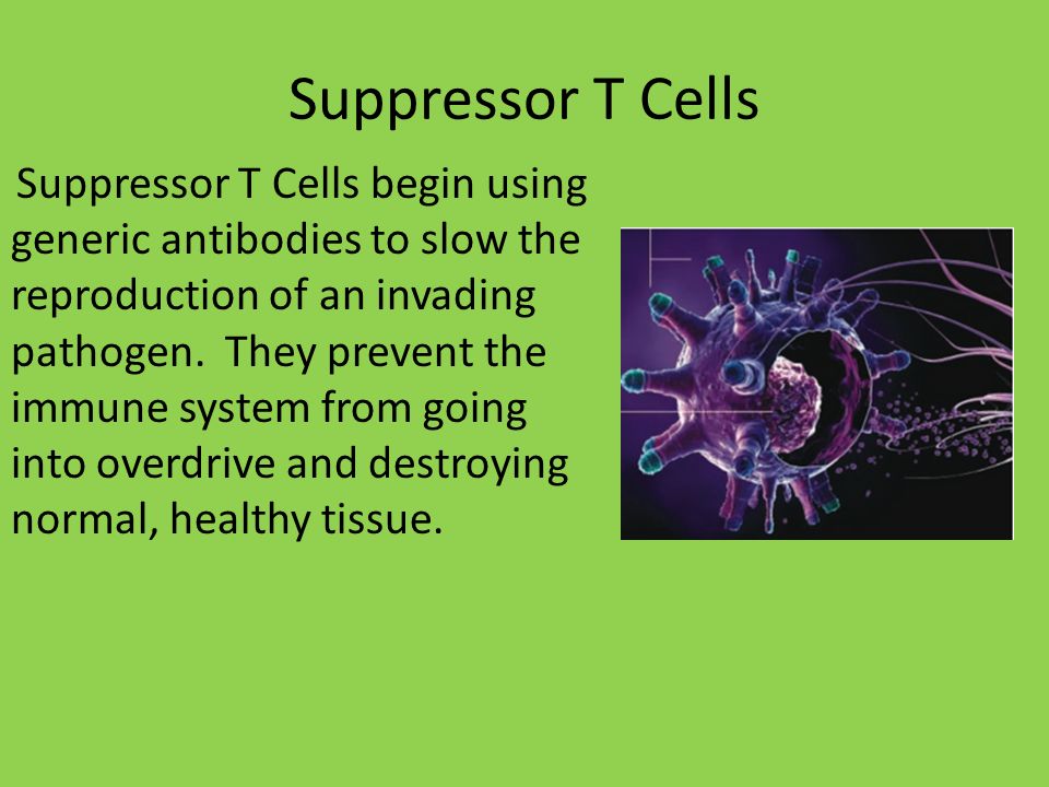 suppressor t cells