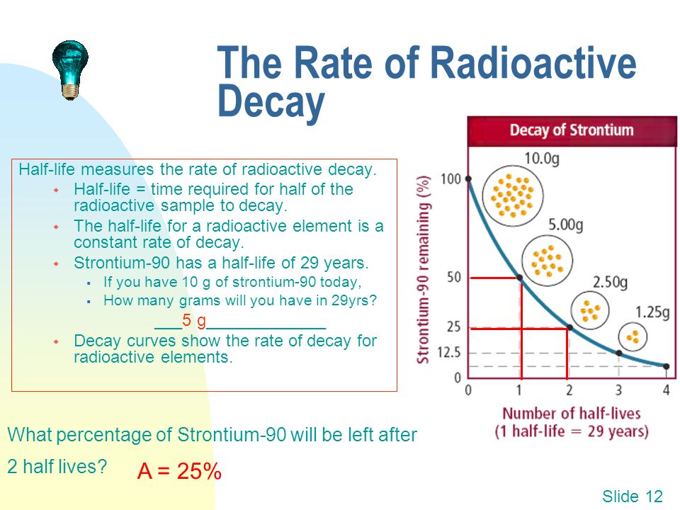 The Rate of Radioactive Decay.