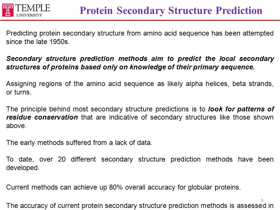 secondary structure of protein ppt