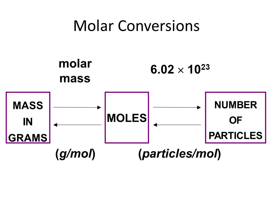 Stoichiometry: Molar Conversions - ppt video online download