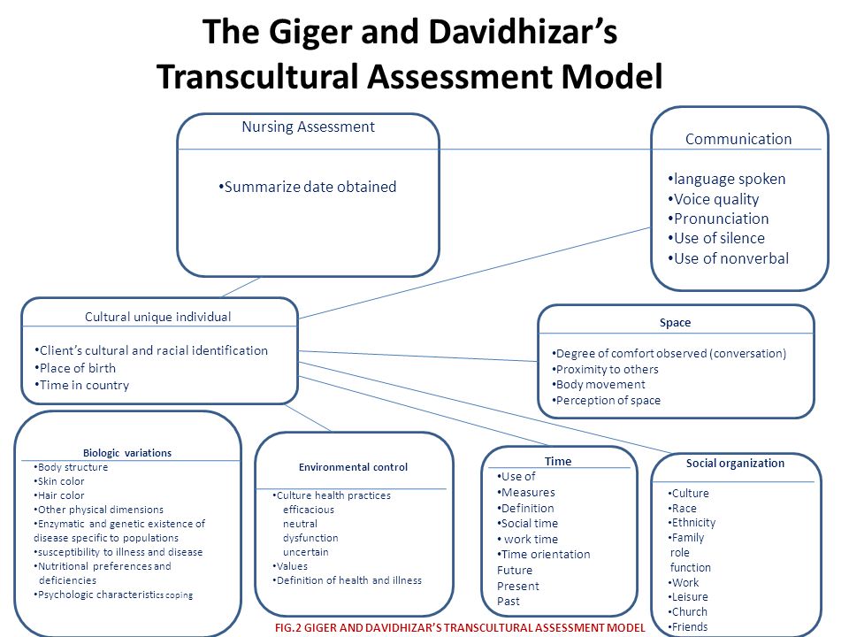 the giger and davidhizar transcultural assessment model