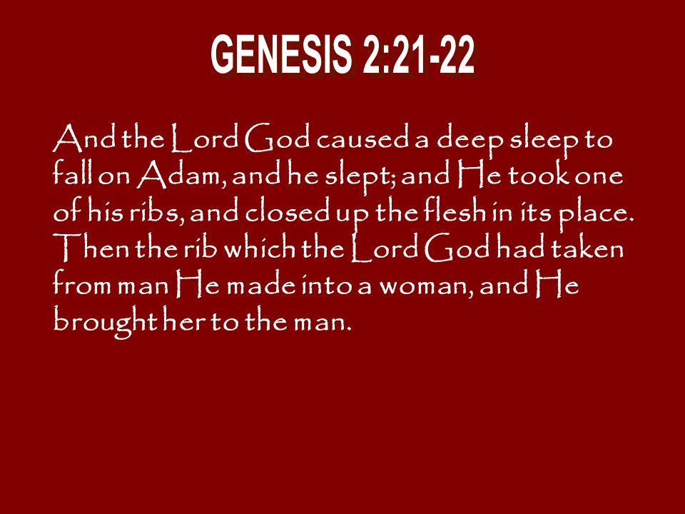 GENESIS 2:21-22