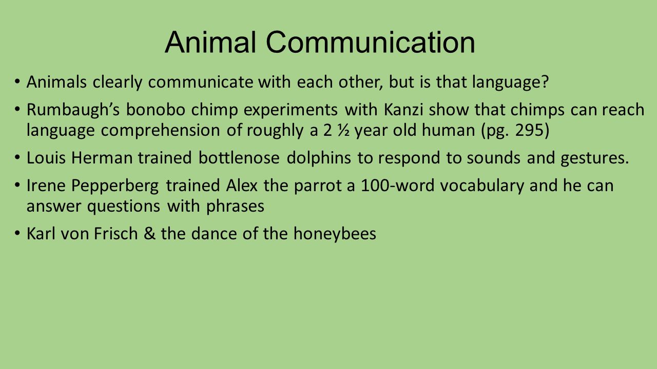 Animal Communication Module ppt video online download